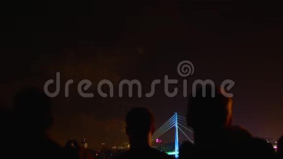 人们观看烟花桥夜照明视频的预览图