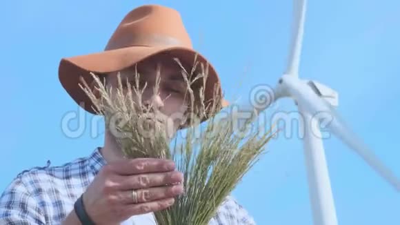 一个农民在风力涡轮机的背景上检查小麦现代农业环境技术视频的预览图