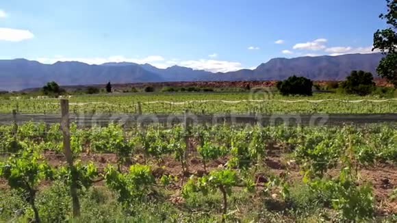 前往玻利维亚塔里哈安德斯山脉的葡萄园和酒庄视频的预览图