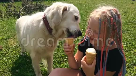 宠物的幸福生活有趣的视频美丽的金色猎犬和女孩在花园里吃冰淇淋慢动作视频的预览图