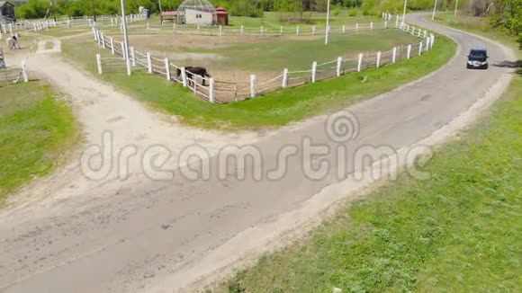亚茨科乌克兰2019年6月7日黑色奔驰维亚诺面包车到达骑马学校与许多马厩在视频的预览图