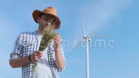 一个农民在风力涡轮机的背景上检查小麦现代农业环境技术视频的预览图