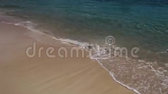 巴哈马猫岛海滩视频的预览图