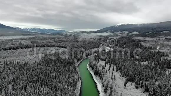 冬季近山的黑白松林和翡翠河的鸟瞰图视频的预览图