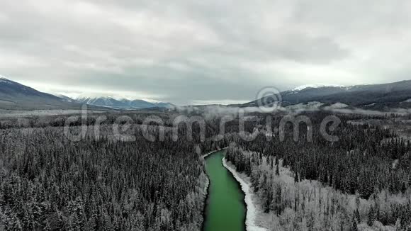 在寒冷的冬日空中观景摄像机在茂密的松树林中移动山脚下有一条翡翠河视频的预览图