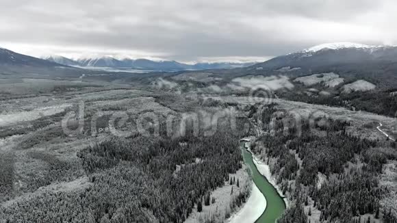 冬季的一天蓝雪覆盖的群山和茂密的松林与翡翠河的鸟瞰视频的预览图