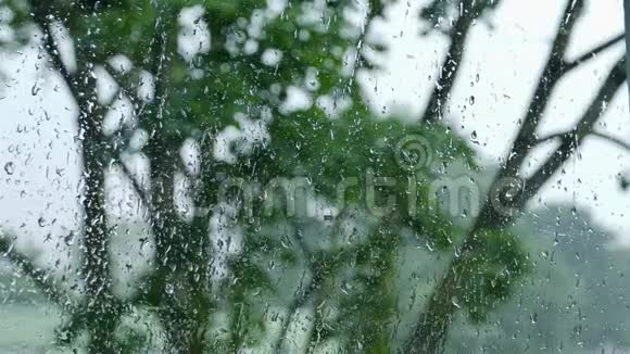 从窗户观看夏日雨天雨滴视频的预览图