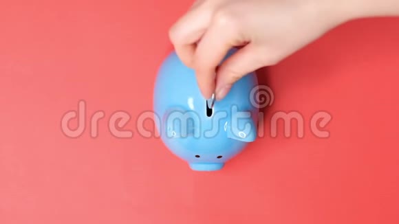 小猪银行生意一只手把硬币放在红色背景上的储蓄罐里存钱是一种投资视频的预览图
