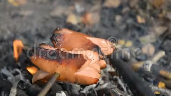 烤肠在大自然中过火视频的预览图
