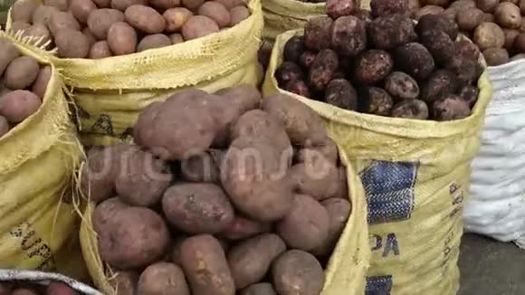 市场上有很多土豆在麻袋里视频的预览图