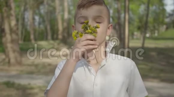 小男孩拿着蒲公英的花等着给人一束花户外娱乐活动视频的预览图