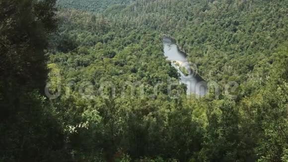 塔斯塔金森林中苏玛克瞭望台的亚瑟河视频的预览图