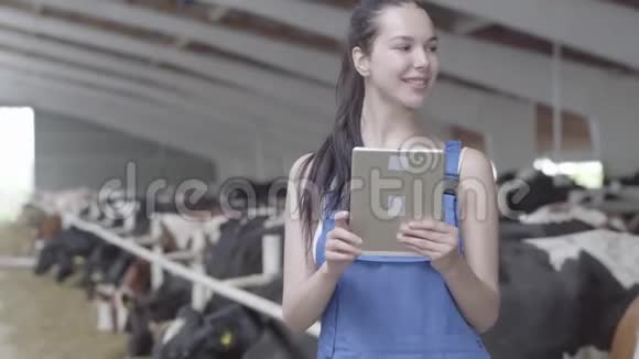 一位年轻的心腹女农夫带着奶牛在农场参观谷仓并在平板电脑上记录证词视频的预览图