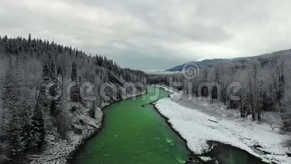无人机照相机沿着翠绿色的河流在白雪皑皑的海岸和茂密的松林之间移动视频的预览图