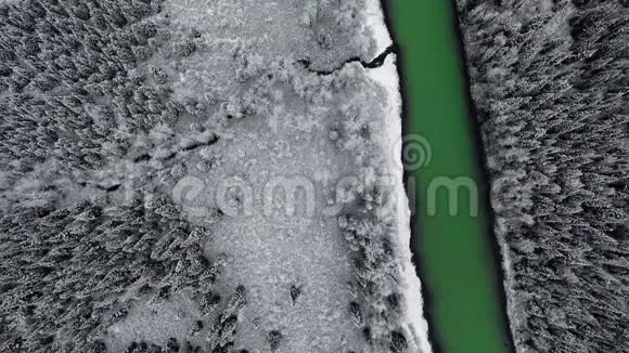 头顶的空中摄像机在靠近一条山河的雪地上平稳地飞过一片针叶林视频的预览图