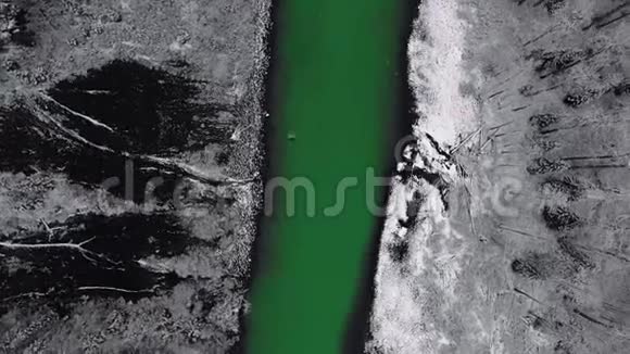 空中无人驾驶飞机在青山绿水和白雪皑皑的松树海岸上空盘旋视频的预览图