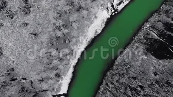 空中摄像机在一条山河和岸边茂密的雪松林上空盘旋视频的预览图