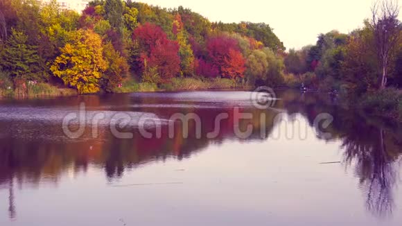美丽自然的池塘或湖上五彩缤纷的秋景视频的预览图