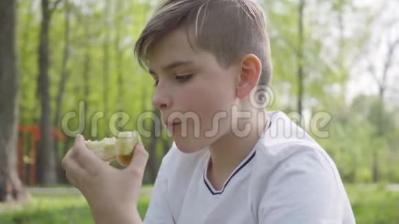 肖像小男孩坐在绿色公园里抱着枕头在户外吃一个苹果户外娱乐活动视频的预览图