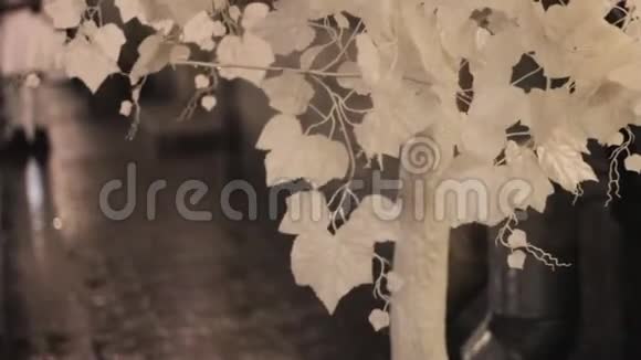 白树街装饰雪叶视频的预览图