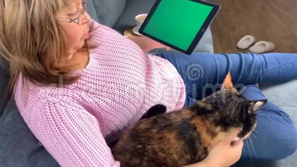 在房间的沙发上一个女人坐在一件粉红色的套衫里拿着一块空白绿色屏幕的平板电脑抚摸着一只猫舒适的家视频的预览图