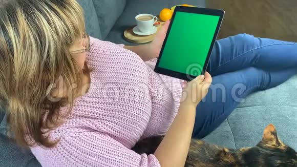 在房间的沙发上一个女人坐在一件粉红色的套衫里拿着一块空白绿色屏幕的平板电脑抚摸着一只猫舒适的家视频的预览图