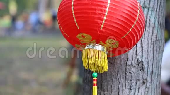 传统的红色中国纸灯笼在树上随风摇摆背景是城市公园视频的预览图