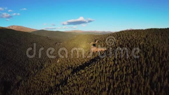 科罗拉多一片茂密的绿松林覆盖着的山脉视频的预览图