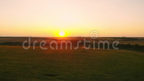 日落时向日葵花田的空中摄影绿葵花田鸟瞰景色视频的预览图
