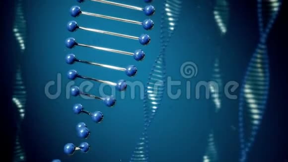 循环DNA动画视频的预览图