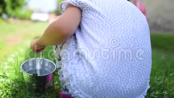 小女孩在田园里摘草莓果和雏菊花视频的预览图