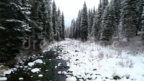 森林中狭窄的缝隙冬天有一条野河流过视频的预览图
