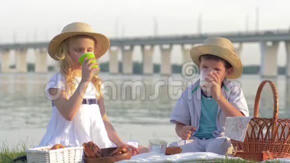 可爱的饥饿的女孩和男孩戴着草帽在大自然附近野餐时吃甜面包店的产品和喝新鲜牛奶视频的预览图