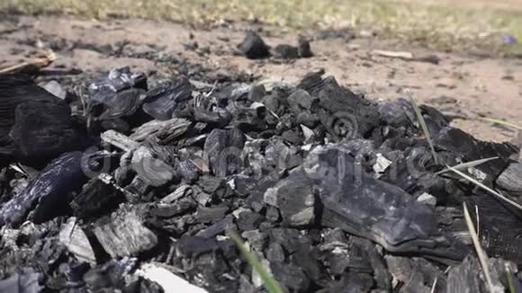 地上篝火后的黑炭背景柴火视频的预览图