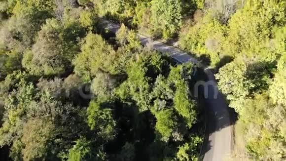 森林乡村道路上汽车驾驶的鸟瞰图鸟瞰美丽的野生动物在野外的无人机上飞行视频的预览图