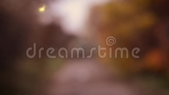 秋天的树叶落在一条模糊的公园小巷的背景上视频的预览图