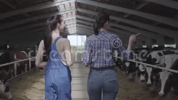 年轻的女农民带着奶牛参观谷仓女农民向游客展示奶牛和小牛视频的预览图