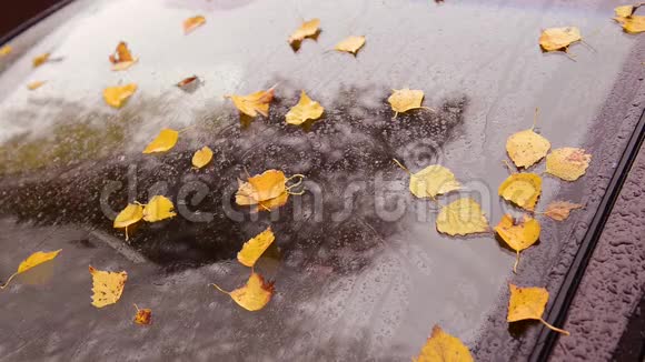 汽车雨刷扫走了秋叶和降雪视频的预览图