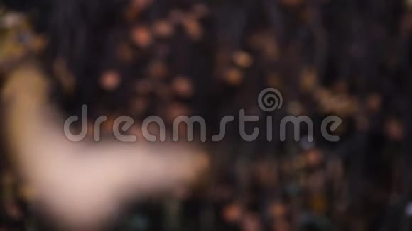 秋天的叶子落在一片黑暗模糊的灌木上视频的预览图
