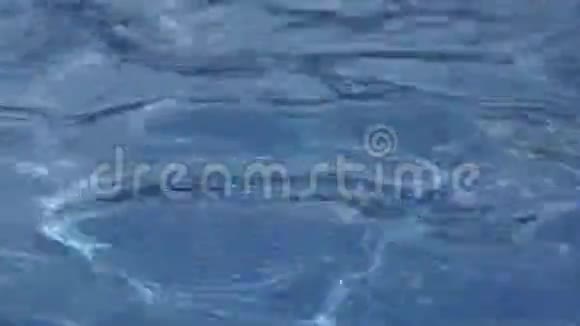 水池蓝色透明视频的预览图