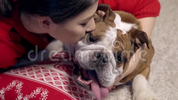 可爱的亚洲女孩在圣诞树下爱抚着一只可爱的斗牛犬吻他心爱的狗圣诞节视频的预览图