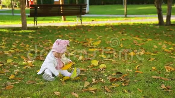 穿着粉红色衣服的小女孩坐在画城公园的绿草上秋天在树上玩黄色的落叶视频的预览图