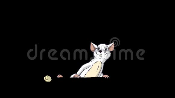 小白鼠爬出来吃奶酪动画阿尔法马特视频的预览图