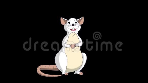 白鼠坐着笑动画阿尔法马特视频的预览图