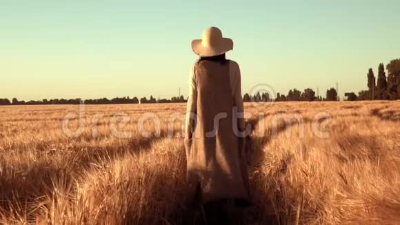 秋天的时候戴着帽子的女人带着小麦在田野上散步视频的预览图