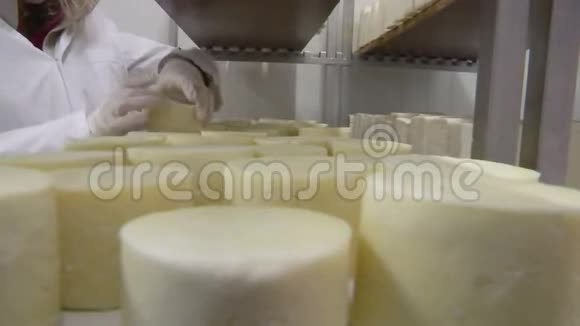 存放自制山羊奶酪的仓库视频的预览图
