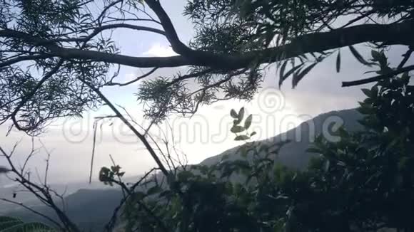绿色的丛林树木映衬着蓝白的天空和山的轮廓视频的预览图