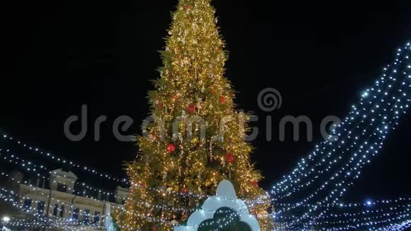 市中心的圣诞树视频的预览图