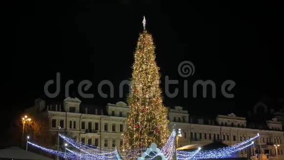 市中心的圣诞树视频的预览图