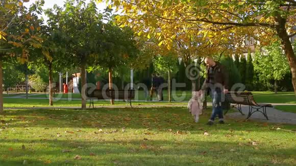 父亲和他可爱可爱的小女儿一起走在画城公园秋天的草坪上树和落叶视频的预览图